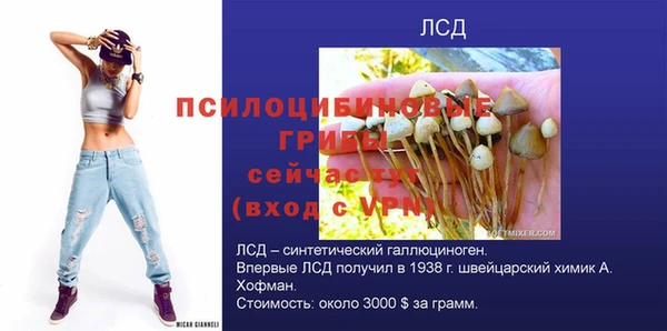 гидра Медногорск