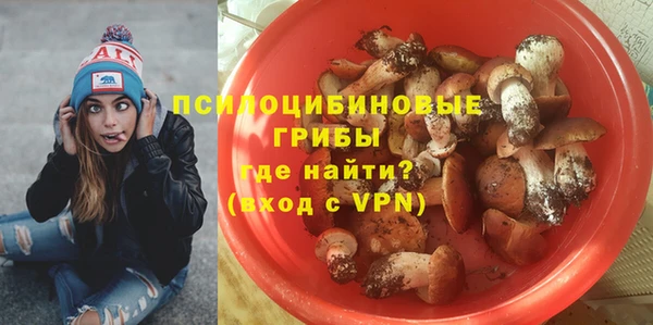 соль курить ск Медвежьегорск