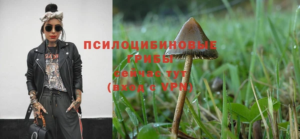 гидра Медногорск