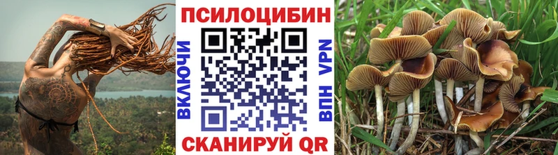 Псилоцибиновые грибы Psilocybine cubensis  Купить  Сасово 