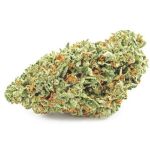Шишки OG Kush  (Гидропоника, бошки) VHQ в Сасово